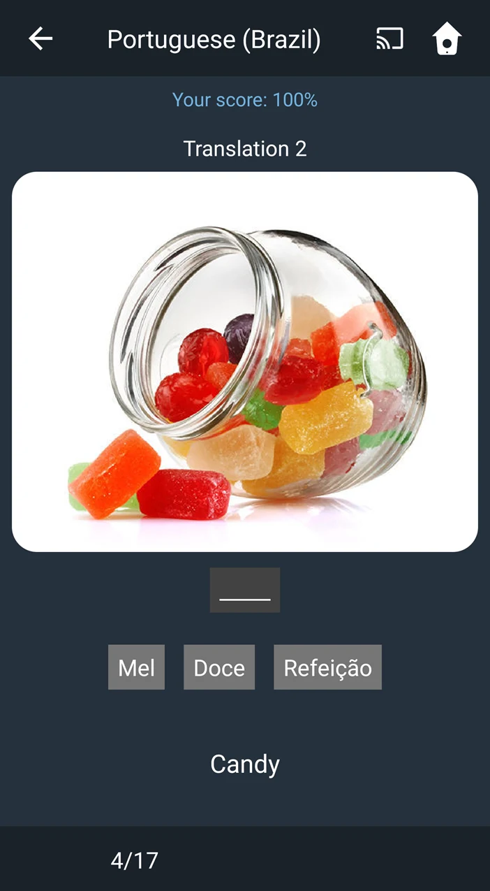 Learn Brazilian Portuguese. Sp screenshot
