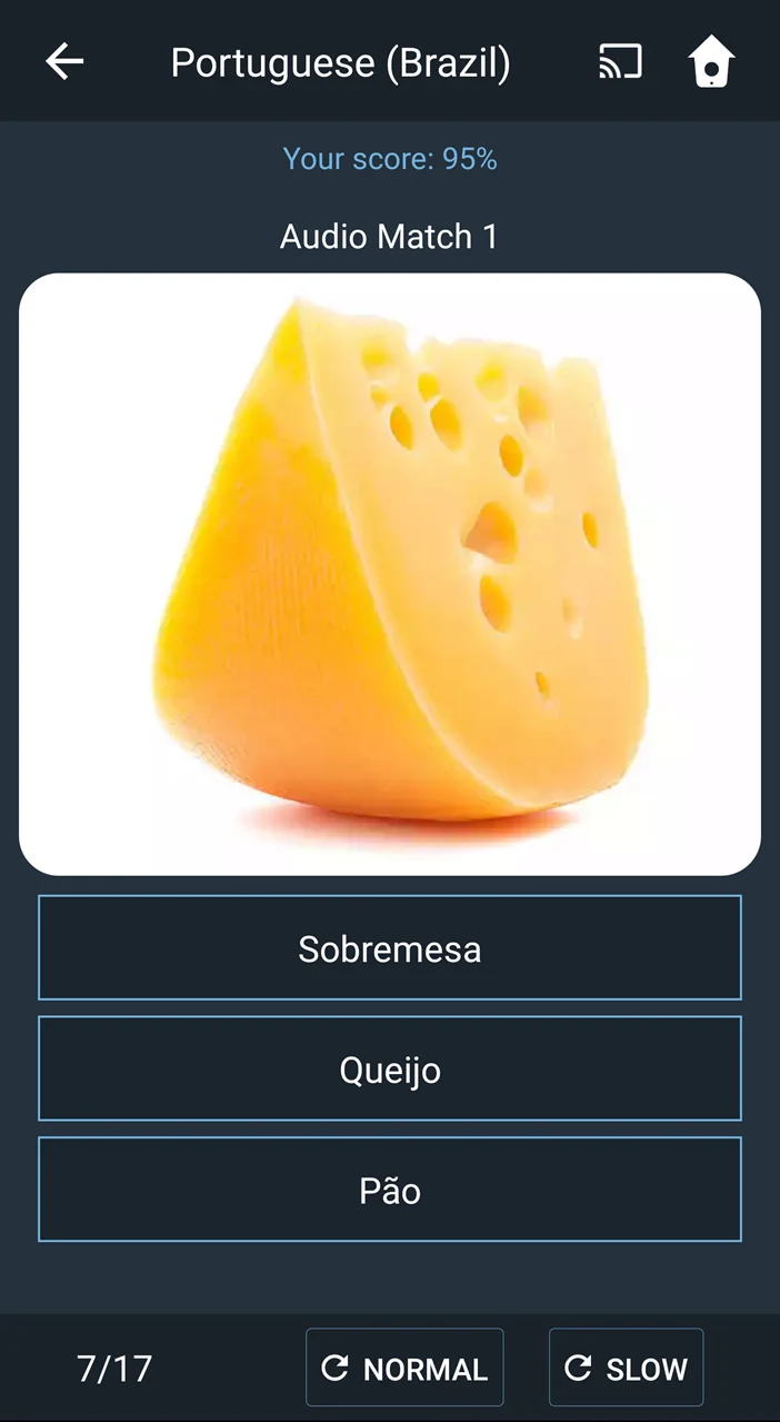 Learn Brazilian Portuguese. Sp screenshot