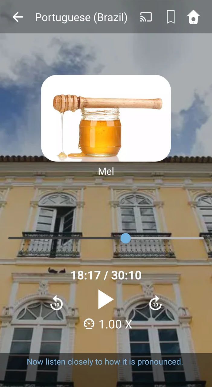 Learn Brazilian Portuguese. Sp screenshot